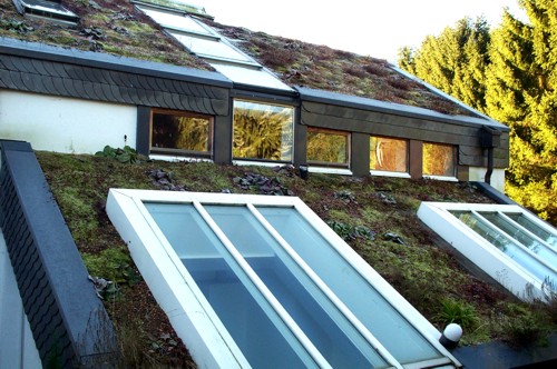 Ökologische Dachgestaltung